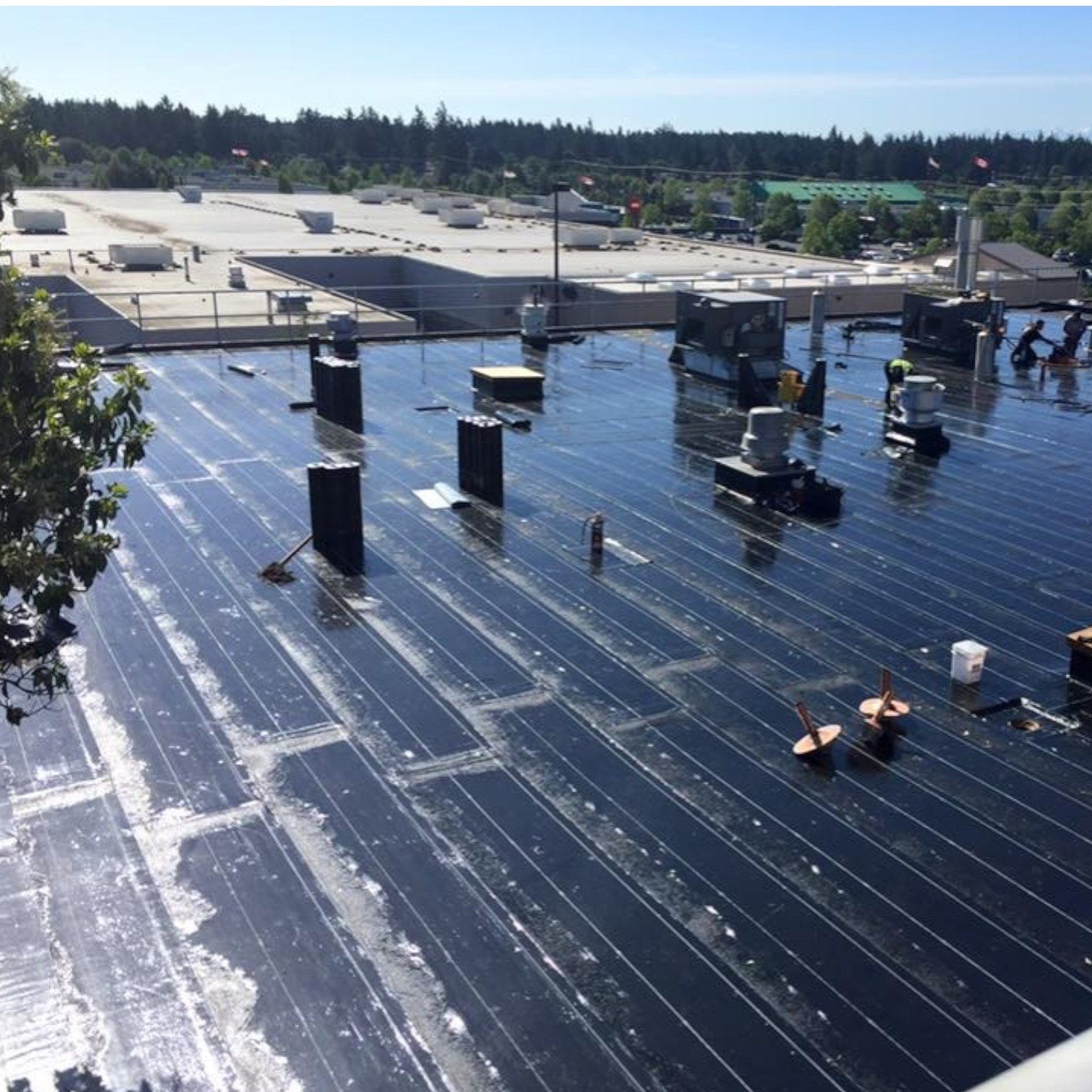 Commercial flat roofing system installed on a low-slope building in Edmonton